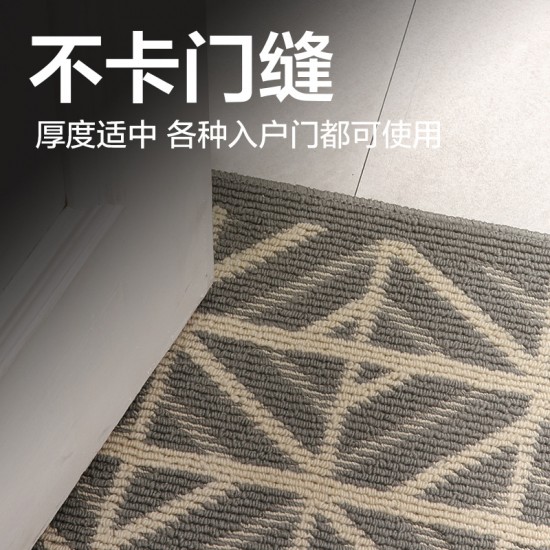 Cross-border minimalist entrance door mats, home entryway, hallway, and entrance mats, non-slip, dust-removing, and mud-scraping carpets Cross-border minimalist entrance door mats, home entryway, hallway, and entrance mats, non-slip, dust-removing, and mud-scraping carpets