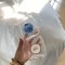 Korean INS natural style blueberry fruit glass, high-borosilicate heat-resistant milk cup. Simple, artistic breakfast cup