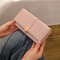 PRETTYZYS New Long Wallet for Women, Japanese and Korean Style Frosted Buckle and Folding Long Clutch and Card Holder