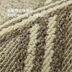 New entry carpets, luxury and high-end foyer doormats, imitation wool living room carpets