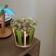 Korean Instagram Style Dreamy Colored Star Glass Coffee Cup, Super Fairy Girly Drinking Glass Goblet